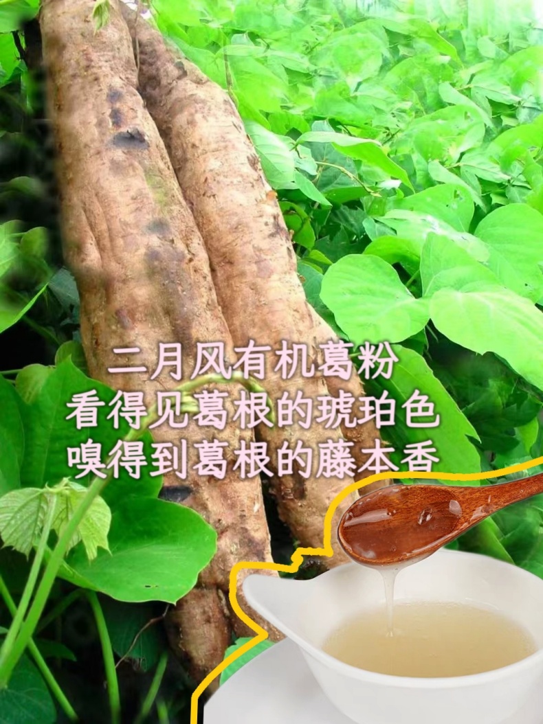 二月風(fēng)有機葛粉，看得見葛根的琥珀色，嗅得到葛根的藤本香_790.jpg