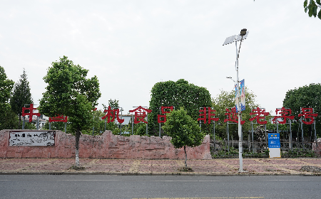 當定制葛粉時，我們真正在選擇什么？